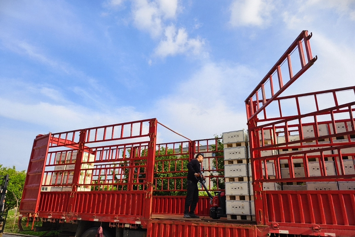 Reliable shipment preparation for a private-label home battery project